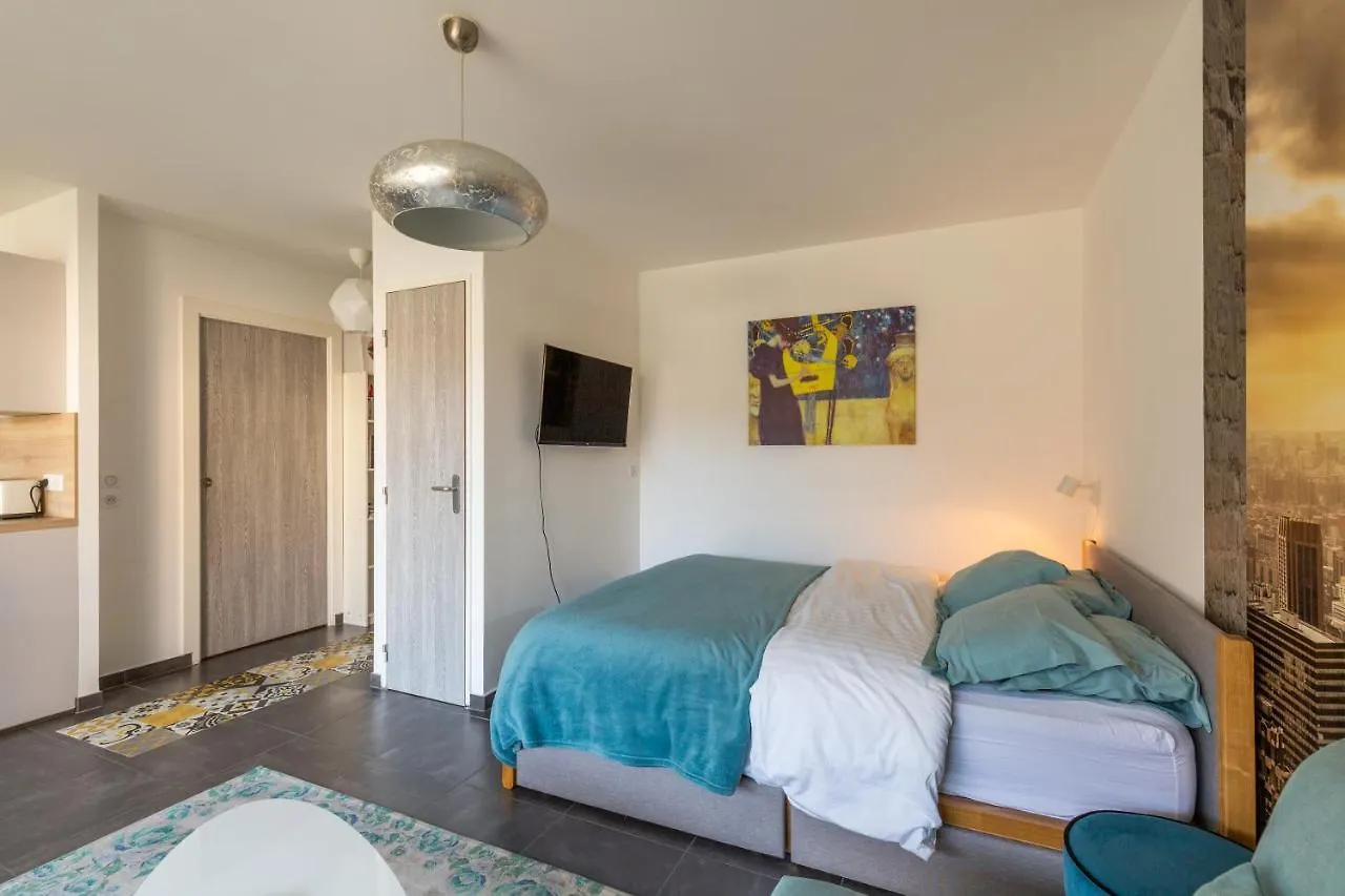 Grand Studio Bord Du Lac Saint-Jorioz Apartment