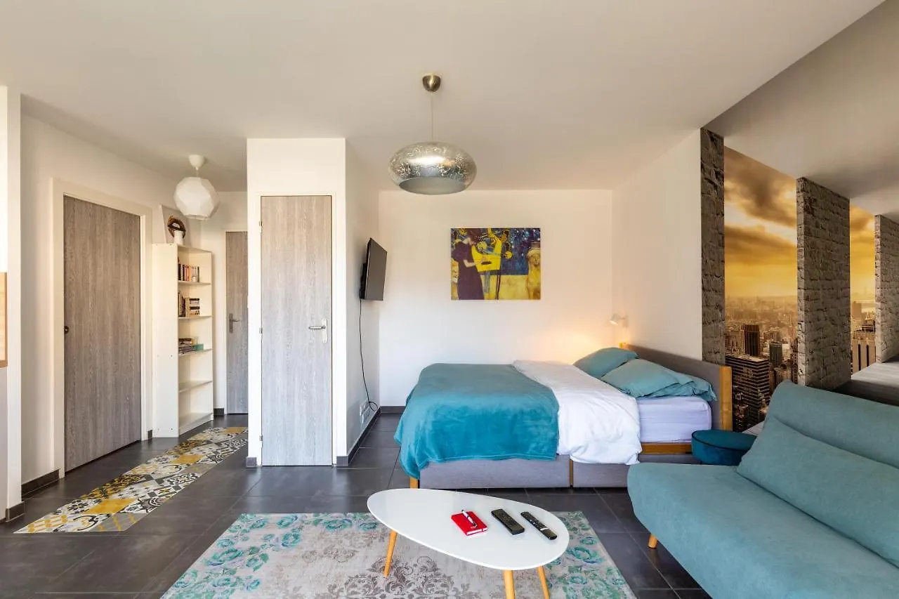 Apartment Grand Studio Bord Du Lac Saint-Jorioz